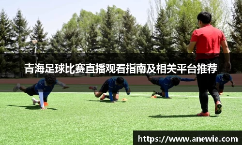 青海足球比赛直播观看指南及相关平台推荐